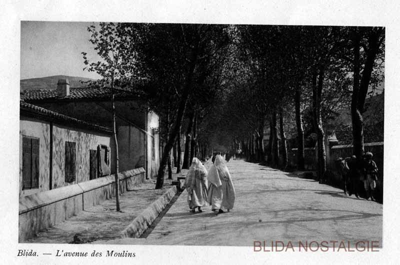 avenue des moulins (24).jpg